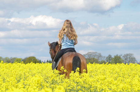 Reiten ist doch gar kein Sport! 8 Gründe warum Reiten eben doch der beste Sport ist